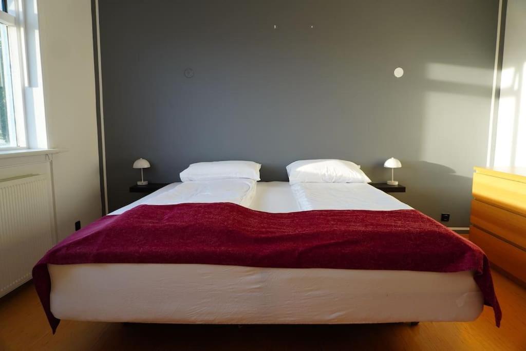 Lejlighed Spacious Near Sky Lagoon Reykjavík